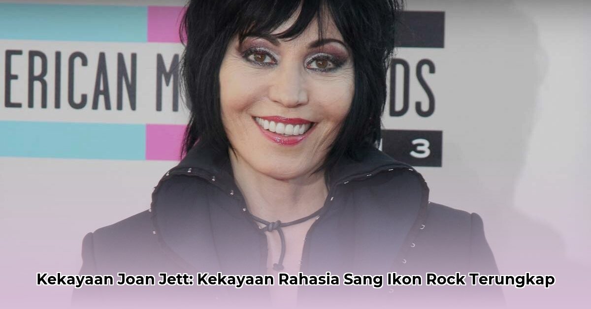 joan jett net worth
